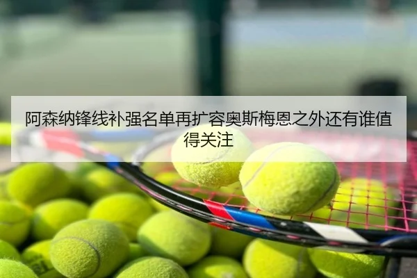 阿森纳锋线补强名单再扩容奥斯梅恩之外还有谁值得关注