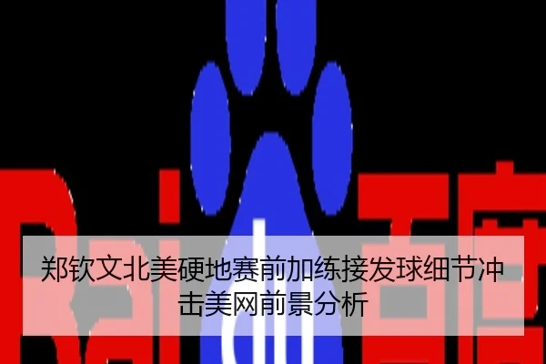 郑钦文北美硬地赛前加练接发球细节冲击美网前景分析